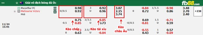 fb88-bảng kèo trận đấu Macarthur vs Melbourne Victory