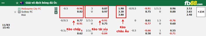 fb88-bảng kèo trận đấu Melbourne City vs Sydney FC