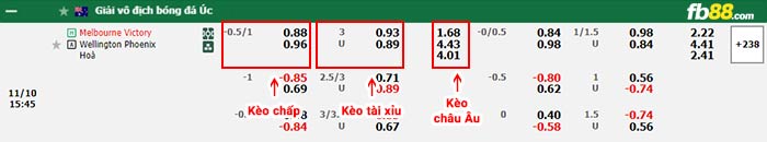 fb88-bảng kèo trận đấu Melbourne Victory vs Wellington Phoenix
