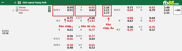 fb88-bảng kèo trận đấu Wolves vs Tottenham