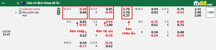 fb88-bảng kèo trận đấu Adelaide vs Newcastle Jets