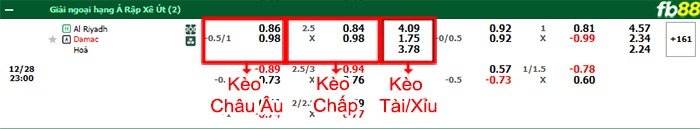 Fb88 bảng kèo trận đấu Al-Riyadh vs Dhamk