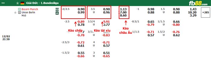 fb88-bảng kèo trận đấu Bayern Munich vs Union Berlin