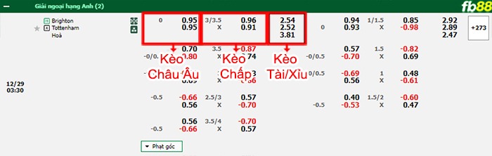 Fb88 bảng kèo trận đấu Brighton vs Tottenham