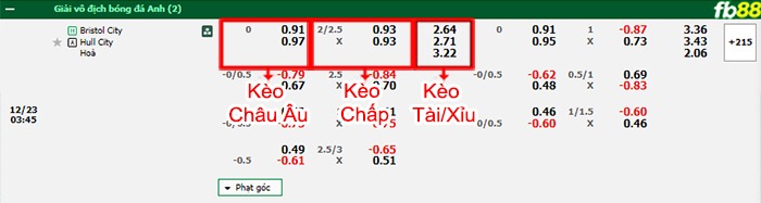 Fb88 bảng kèo trận đấu Bristol City vs Hull City