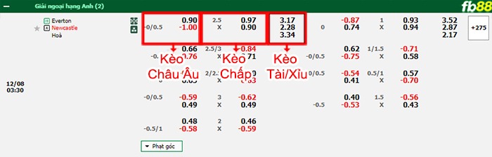 Fb88 bảng kèo trận đấu Everton vs Newcastle