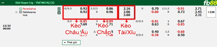 Fb88 bảng kèo trận đấu Fenerbahce vs Galatasaray