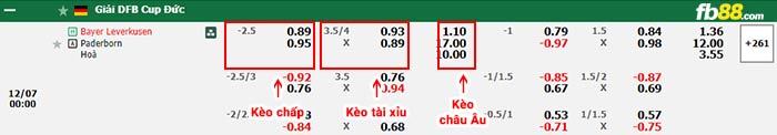 fb88-bảng kèo trận đấu Leverkusen vs Paderborn