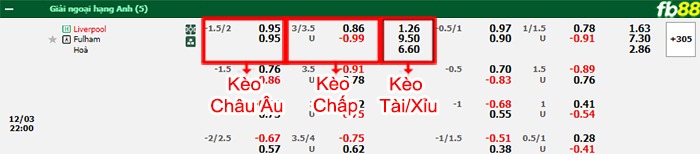 Fb88 bảng kèo trận đấu Liverpool vs Fulham
