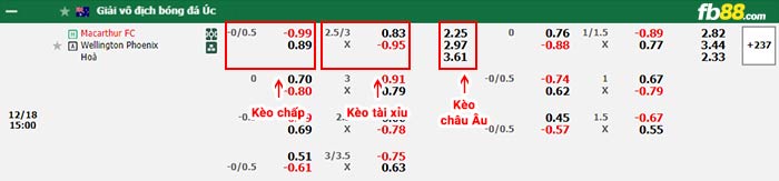 fb88-bảng kèo trận đấu Macarthur FC vs Wellington Phoenix,