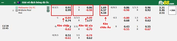 fb88-bảng kèo trận đấu Melbourne City vs Brisbane Roar