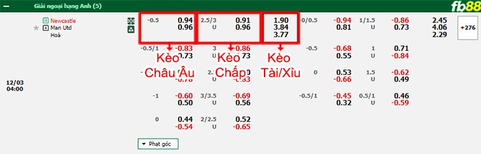 Fb88 bảng kèo trận đấu Newcastle vs Man Utd