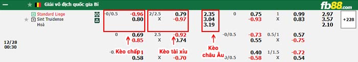 fb88-bảng kèo trận đấu Standard Liege vs St.Truidense