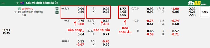 fb88-bảng kèo trận đấu Sydney FC vs Wellington Phoenix