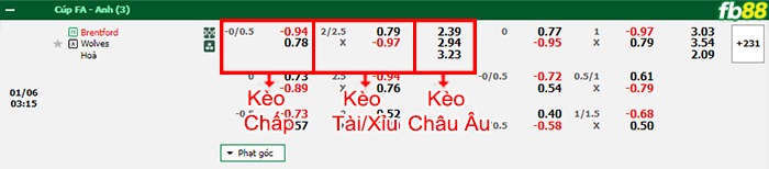 Fb88 bảng kèo trận đấu Brentford vs Wolves