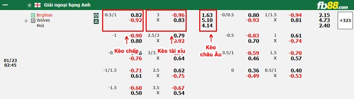 fb88-bảng kèo trận đấu Brighton vs Wolves