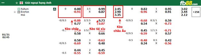 fb88-soi kèo Fulham vs Everton