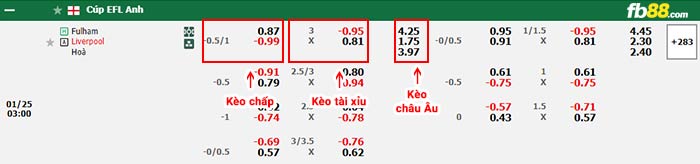 fb88-bảng kèo trận đấu Fulham vs Liverpool