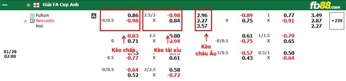 fb88-bảng kèo trận đấu Fulham vs Newcastle