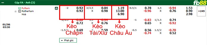 Fb88 bảng kèo trận đấu Fulham vs Rotherham