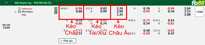 Fb88 bảng kèo trận đấu Hatayspor vs Alanyaspor