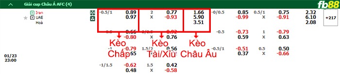 Fb88 bảng kèo trận đấu Iran vs UAE