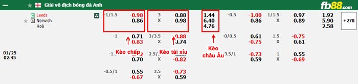 fb88-bảng kèo trận đấu Leeds United vs Norwich City