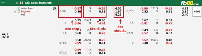 fb88-bảng kèo trận đấu Luton Town vs Brighton