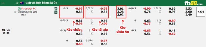 fb88-bảng kèo trận đấu Macarthur vs Newcastle Jets