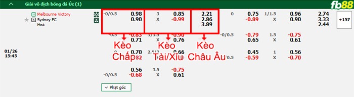 Fb88 bảng kèo trận đấu Melbourne Victory vs Sydney FC