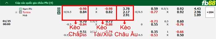 Fb88 bảng kèo trận đấu Nam Phi vs Tunisia