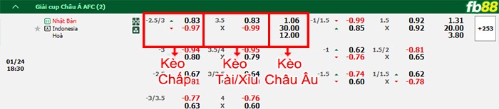 Fb88 bảng kèo trận đấu Nhật Bản vs Indonesia