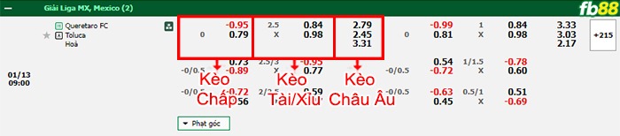 Fb88 bảng kèo trận đấu Queretaro vs Toluca