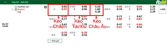 Fb88 bảng kèo trận đấu Sheffield United vs Brighton