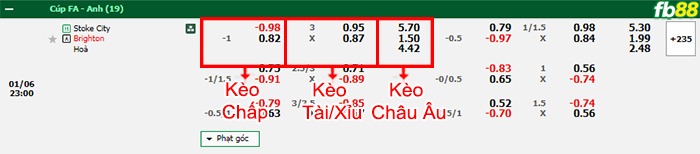 Fb88 bảng kèo trận đấu Stoke vs Brighton
