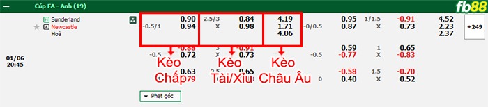 Fb88 bảng kèo trận đấu Sunderland vs Newcastle
