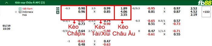 Fb88 bảng kèo trận đấu Việt Nam vs Indonesia