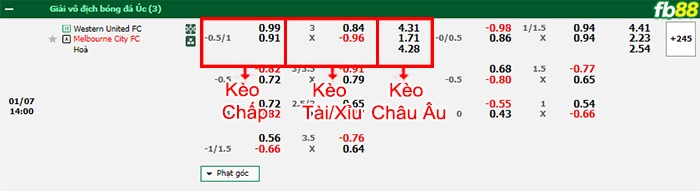Fb88 bảng kèo trận đấu Western United vs Melbourne City