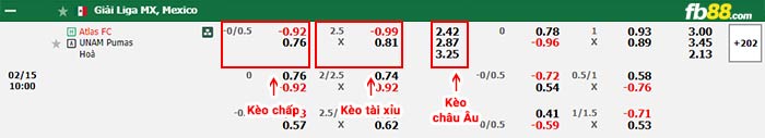 fb88-bảng kèo trận đấu Atlas vs Pumas UNAM