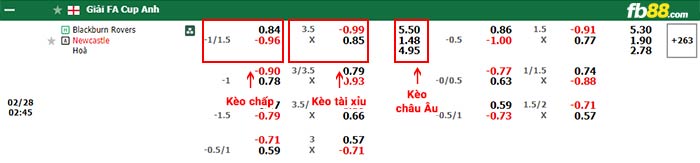 fb88-bảng kèo trận đấu Blackburn vs Newcastle