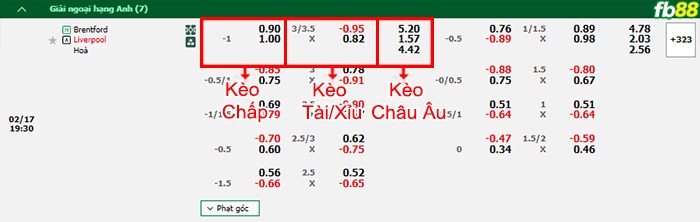 Fb88 bảng kèo trận đấu Brentford vs Liverpool