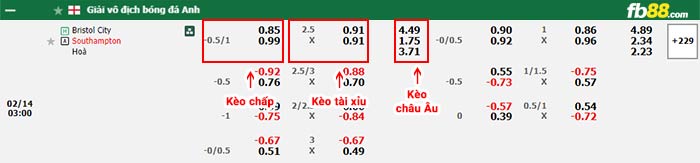 fb88-bảng kèo trận đấu Bristol City vs Southampton