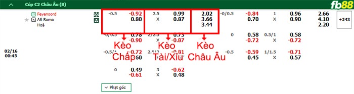 Fb88 bảng kèo trận đấu Feyenoord vs AS Roma