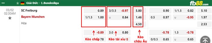 fb88-bảng kèo trận đấu Freiburg vs Bayern Munich