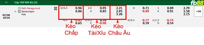 Fb88 bảng kèo trận đấu Fatih Karagumruk vs Samsunspor