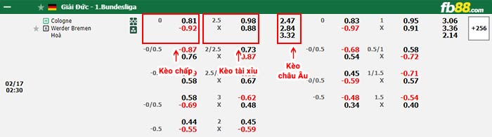 fb88-bảng kèo trận đấu Koln vs Werder Bremen