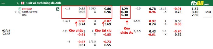 fb88-bảng kèo trận đấu Leicester City vs Sheffield Wed
