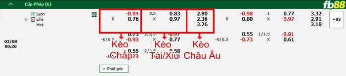 Fb88 bảng kèo trận đấu Lyon vs Lille