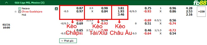 Fb88 bảng kèo trận đấu Necaxa vs Chivas Guadalajara