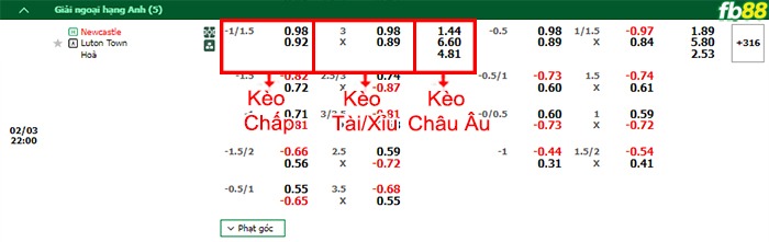 Fb88 bảng kèo trận đấu Newcastle vs Luton Town